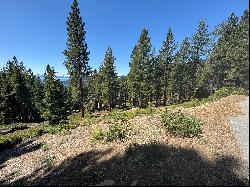 Mountain Majesty: Incline Village Lot with Building Plans