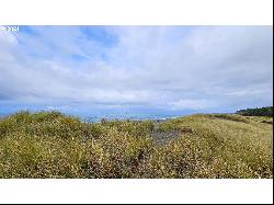 42339 Parkwood Dr, Port Orford OR 97465