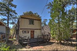 258 Sunset Lane, Sugarloaf, CA 92386