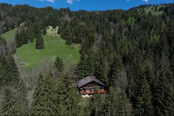 Secluded Alpine Retreat with Modern Comforts