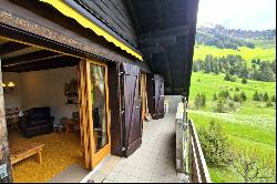 Spacious 3 bedroom apartment at Col des Mosses, 100m from the ski lift