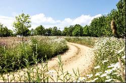 La Rue De St. Mannelier, St. Saviour, Jersey, JE2 7HJ