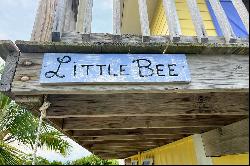 Little Bee