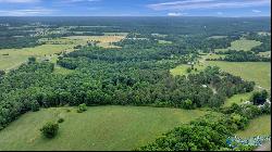 7.10 Acres County Road 44, Section AL 35771