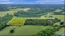 7.10 Acres County Road 44, Section AL 35771