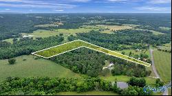 7.10 Acres County Road 44, Section AL 35771