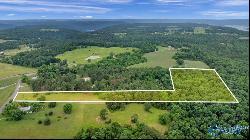 7.10 Acres County Road 44, Section AL 35771