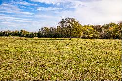 1518 Bluebonnet Ridge Dr, Chappell Hill, TX, 77426