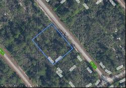 606 Bell Place, Lake Placid FL 33852