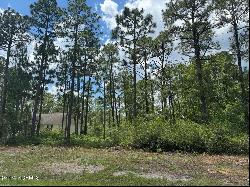 Lot 4 Maple Road, Southport NC 28461