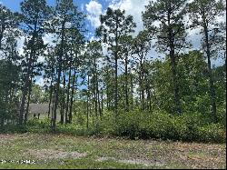 Lot 4 Maple Road, Southport NC 28461