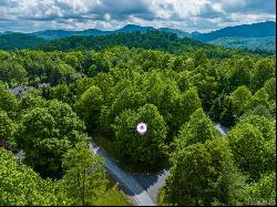 Lot 246 Audubon Trail, Cashiers NC 28717