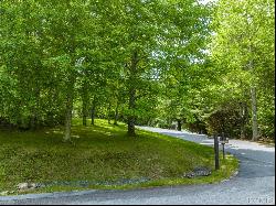 Lot 246 Audubon Trail, Cashiers NC 28717