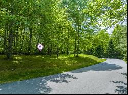 Lot 246 Audubon Trail, Cashiers NC 28717