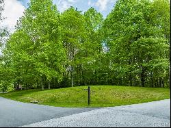 Lot 246 Audubon Trail, Cashiers NC 28717