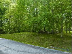 Lot 246 Audubon Trail, Cashiers NC 28717