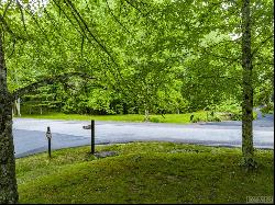 Lot 246 Audubon Trail, Cashiers NC 28717