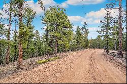 Perfect opportunity to build your dream cabin/home on .68 acres