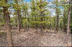 Perfect opportunity to build your dream cabin/home on .68 acres