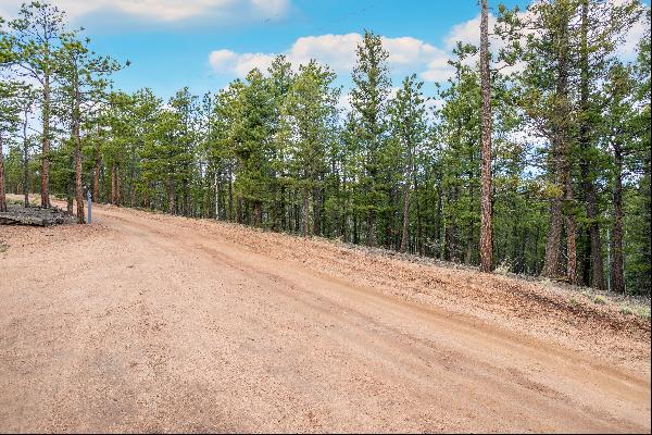 Perfect opportunity to build your dream cabin/home on .68 acres