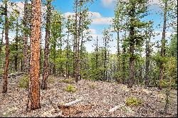 Perfect opportunity to build your dream cabin/home on .68 acres