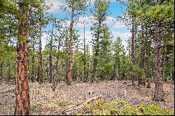 Perfect opportunity to build your dream cabin/home on .68 acres