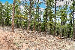 Perfect opportunity to build your dream cabin/home on .68 acres