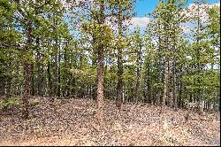 Perfect opportunity to build your dream cabin/home on .68 acres