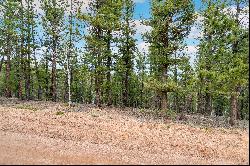 Perfect opportunity to build your dream cabin/home on .68 acres