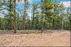 Perfect opportunity to build your dream cabin/home on .68 acres