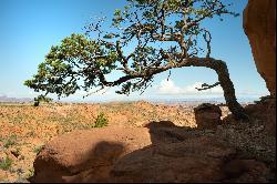 Parcel 4, Cloud Rock, Johnson's Up-On-Top Mesa