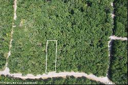 Lot 640 Grand Point Boulevard, Porto Cima MO 65079