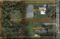 2610 Al simmons Road, Dover FL 33527