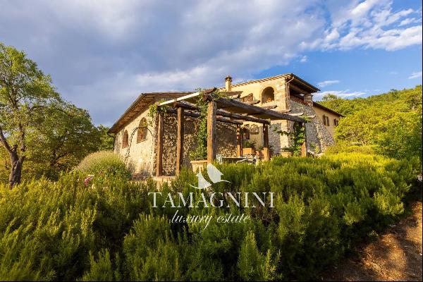 Ancient country house in Tuscany