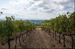 Exclusive wine estate in the Tuscan hills