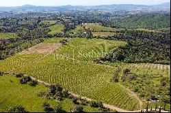 Exclusive wine estate in the Tuscan hills