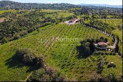 Exclusive wine estate in the Tuscan hills