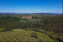 Exclusive wine estate in the Tuscan hills