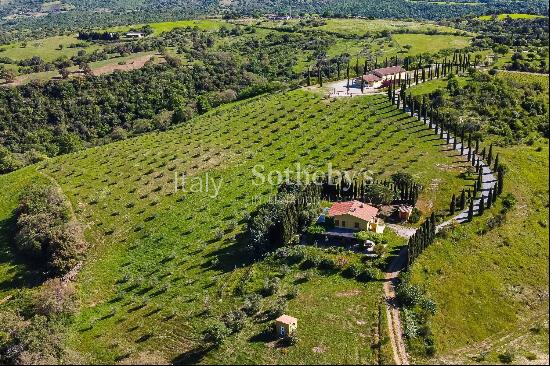 Exclusive wine estate in the Tuscan hills