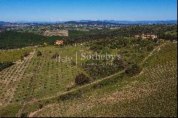 Exclusive wine estate in the Tuscan hills