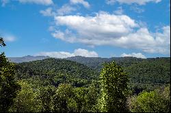 EAGLES NEST - BANNER ELK