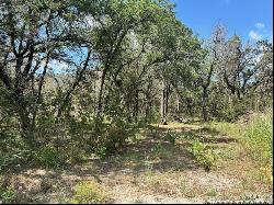 Lot 8 Lake Park Dr, Spring Branch TX 78070