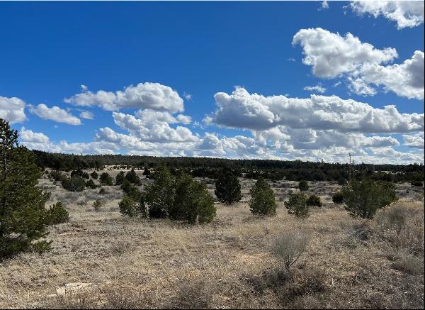 Lot 14 Candy Kitchen Road, Ramah NM 87321