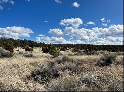 Lot 14 Candy Kitchen Road, Ramah NM 87321