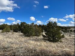 Lot 14 Candy Kitchen Road, Ramah NM 87321