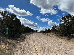 Lot 14 Candy Kitchen Road, Ramah NM 87321