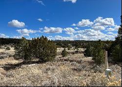 Lot 14 Candy Kitchen Road, Ramah NM 87321