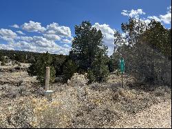 Lot 14 Candy Kitchen Road, Ramah NM 87321