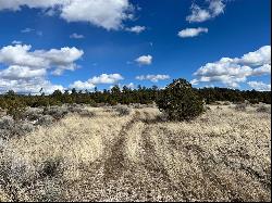 Lot 14 Candy Kitchen Road, Ramah NM 87321