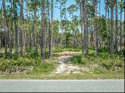 2987 Hwy 98 E, Carrabelle FL 32322